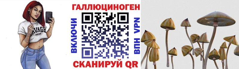 Галлюциногенные грибы Psilocybine cubensis  цены наркотик  Инта 